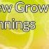 Cancer Solstice Light Stream Activating New Growth And Life Beginnings Strong Aries Strong Cancer