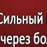 Ловкий Сильный и Хитрый идут через болота в медвежью столицу Серия 4