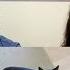 Meow Mix Reaction Brother And Sister