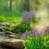 Beautiful Relaxing Music Stop Overthinking Stress Relief Music Sleep Music Calming Music