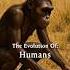 The Svolution Of Humans Humanity Evolution Human Ai Viralvideo Viral Fyp History