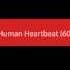 Human Heartbeat 60 BPM SOUND Effect