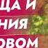 Размер влагалища и ощущения при половом контакте Shorts Short