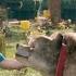 A Minecraft Movie Soundtrack Ode To Dennis Movie Scene Jack Black WaterTower Music