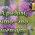 подкова на счастье