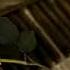 The Grodes Background Of Give Me Some Time