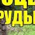 КАМЕНЬ ИЗУМРУД В ТАЙГЕ НАХОДКА ДЕДА ДОБЫЧА КАМНЕЙ В СИБИРИ КОМУ ПОДХОДИТ СУДЬБА ЧЕЛОВЕКА