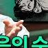 시신은 모든 것을 알고 있다 법의학이 말하는 죽음 Feat 김문영 교수 취미는 과학 33화 확장판