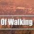 Illenium Sound Of Walking Away Feat Kerli Trap