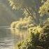 Relaxing Jazz In A Forest Café Warm Morning Vibes For Gentle Stress Relief Peaceful Moments