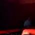 Yeah Yeah Yeahs Vs Steff Da Campo Siks Heads Will Roll X Make Me Feel Avalonn Mashüp