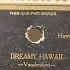 Frank Ferera And Anthony Franchini Dreamy Hawaii