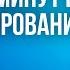 ГЛ 2 СБОРКА КАК СОЗДАТЬ САЙТ с нуля БЕЗ программирования за 30 минут