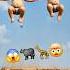 Two Babies Jump And Turn Into A Buffalo Giraffe Shorts