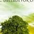 Celtic Music Beautiful