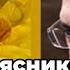 Доктор Мясников назвал продукт для защиты от диабета ожирения и рака