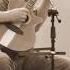 Peter Reimer Truly Do Von David Lindley