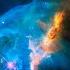 The Ambientalist Betelgeuse