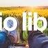 This Is Me Declan DP No Copyright Music