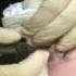 AlexTattoo