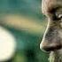 Vikings Ragnar Lothbrok The Choice