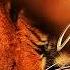 Survivor Eye Of The Tiger