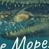 ДОИСТОРИЧЕСКАЯ ПЛАНЕТА ЖЕСТОКОЕ МОРЕ 5 СЕРИЯ Prehistoricplanet