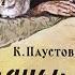 Диафильм Заячьи лапы про животных