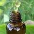 Интимное масло с Бали для женщин натуральное 30 Ml