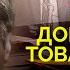 Побег советского дипломата Почему Аркадий Шевченко работал на ЦРУ