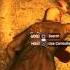 Dying Light Stealth Kills
