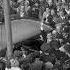 I Ve Got The World On A String Frank Sinatra Blackpool 1953