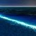 Night Beach Ambience Wave Sound For Sleep Crickets Sounds ASMR