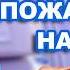 ПАССАЖИРЫ В ШОКЕ ОТ ТАКОЙ СТЮАРДЕССЫ ХАБАЛКА БЫДЛЯЕВА