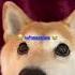 Chipi Chipi Chapa Chapa ULTIMATE MEME MASHUP Memes Funny