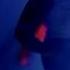 Michael Jackson One More Chance Official Video The One
