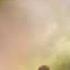 Amour Dans Le Motu La Femme Juvisy 91 13042013