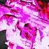 Holy War Point Warface Anniversary Https Grayyouth Band Link ZbhaT музыка песня топ Music