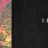 Def Rock I Like It Like That GURU028