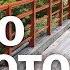 7 Day Trip From Tokyo To Kyoto Episode 2 Japan S New Golden Route