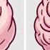7 Simple Brain Exercises To Boost Your Brain Power And Focus