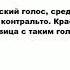 МЕЦЦО СОПРАНО что это такое значение и описание