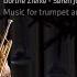 St Matthew Passion BWV 244 Pt II Aria Gebt Mir Meinen Jesum Wieder Arr S Johannsen For