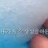 좋아해 싫어해 와현님 영상