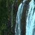 Windows 7 Media Center Sample Video