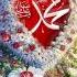 Free Palestine Allah Muhammad Islamic Allah