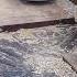 Make A Pathway Mark Morrow Central Texas Gardener