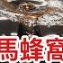 中紀委捅馬蜂窩狼狽後撤 美國總統 副總統罕見充當戰術誘導 習主席被安排了一個小角色