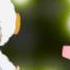 What S Up Amagi