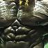 2Pac Eminem Dr Dre DMX Lil Jon Akon Best Hip Hop Workout Music Mix 2025 Ft 2Pac Eminem